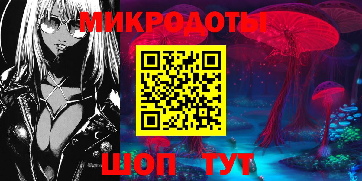 Галлюциногенные грибы Psilocybine cubensis Саранск